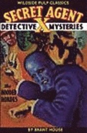 bokomslag Secret Agent X