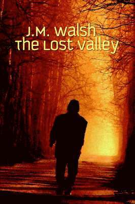 J M Walsh, J. M. Walsh - Lost Valley, Häftad