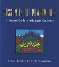bokomslag Possum in the Pawpaw Tree