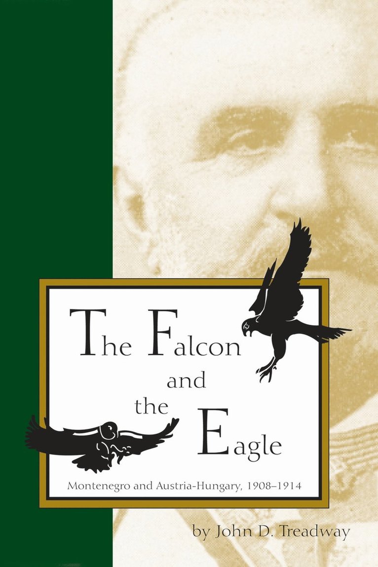 John D. Treadway - Falcon and the Eagle, Häftad