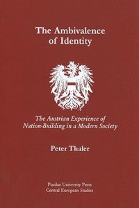 bokomslag Ambivalence of Identity