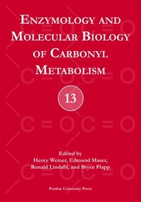 bokomslag Enzymology and Molecular Biology of Carbonyl Metabolism No. 13