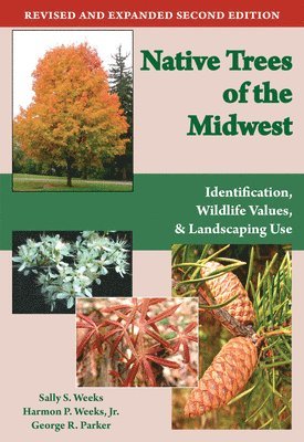 Native Trees of the Midwest 1