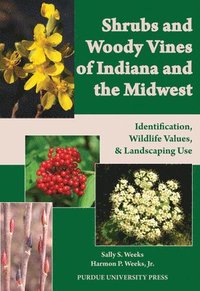 bokomslag Shrubs and Woody Vines of Indiana and the Midwest