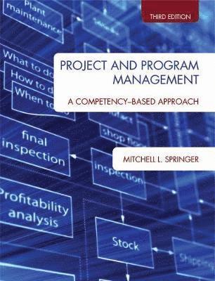 bokomslag Project and Program Management