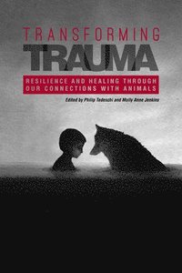 bokomslag Transforming Trauma