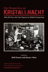 bokomslag New Perspectives on Kristallnacht