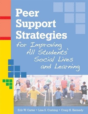 bokomslag Peer Support Strategies