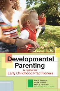 bokomslag Developmental Parenting