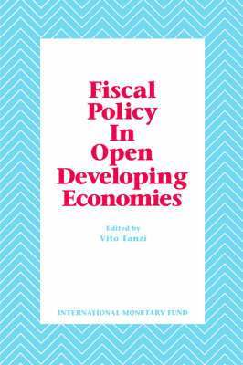 bokomslag Fiscal Policy, Economic Adjustment, and Financial Markets  Papers Presented at a Seminar Sponsored by the [IMF] and Centro DI Economia Monetaria e Finanziaria, University Bocconi, Held in Milan on