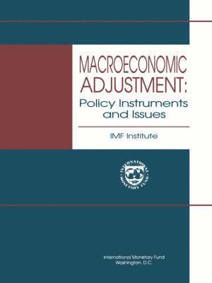 bokomslag Macroeconomic Adjustment