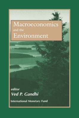 bokomslag Macroeconomics and the Environment