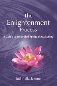 bokomslag The Enlightenment Process