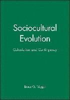 bokomslag Sociocultural Evolution