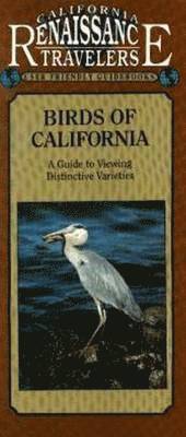 bokomslag Birds of California