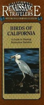 Birds of California 1