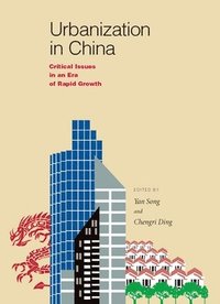 bokomslag Urbanization in China  Critical Issues in an Era of Rapid Growth