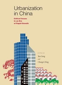 bokomslag Urbanization in China - Critical Issues in an Era of Rapid Growth