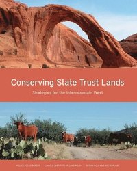 bokomslag Conserving State Trust Lands - Strategies for the Intermountain West