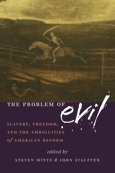 Steven Mintz, John Stauffer, Steven Mintz, John Stauffer - Problem of Evil, Häftad