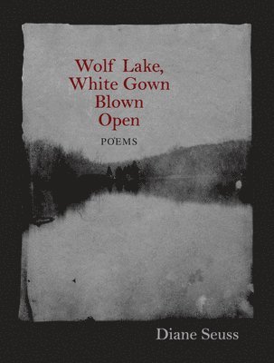 Diane Seuss - Wolf Lake, White Gown Blown Open, Häftad