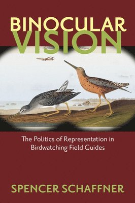 Binocular Vision 1