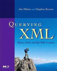 bokomslag Querying XML