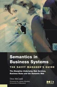 bokomslag Semantics in Business Systems