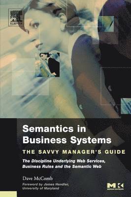 Semantics in Business Systems 1