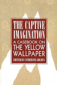 bokomslag The Captive Imagination