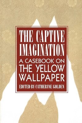 bokomslag The Captive Imagination