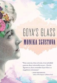 bokomslag Goya's Glass