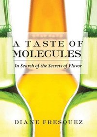 bokomslag Taste Of Molecules