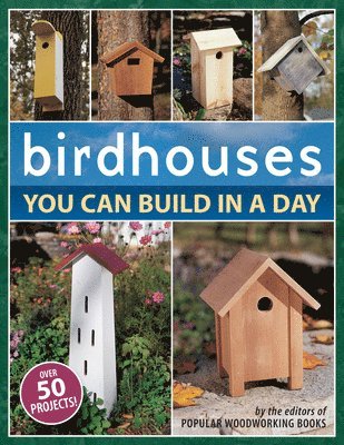 bokomslag Birdhouses You Can Build in a Day