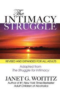 bokomslag The Intimacy Struggle