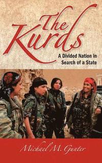 bokomslag The Kurds: A Divided Nation in Search of a State