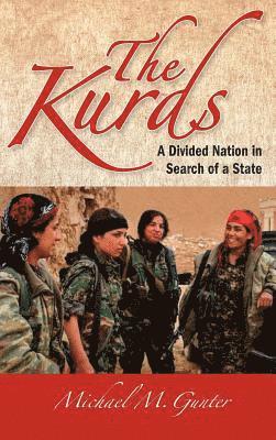 bokomslag The Kurds: A Divided Nation in Search of a State