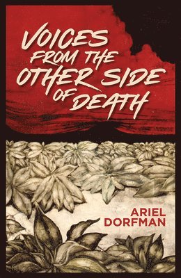 bokomslag Voices from the Other Side of Death