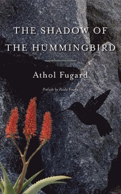 The Shadow of the Hummingbird 1