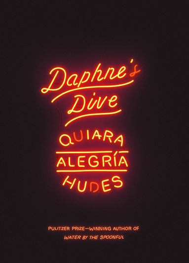 Quiara Alegría Hudes - Daphne's Dive, Häftad