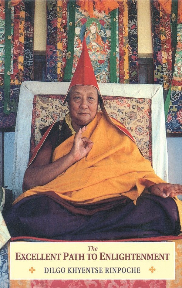 Jamyang Khyentse Wangpo, Dilgo Khyentse - Excellent Path to Enlightenment, Häftad