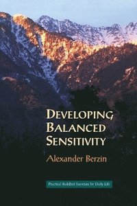 bokomslag Developing Balanced Sensitivity