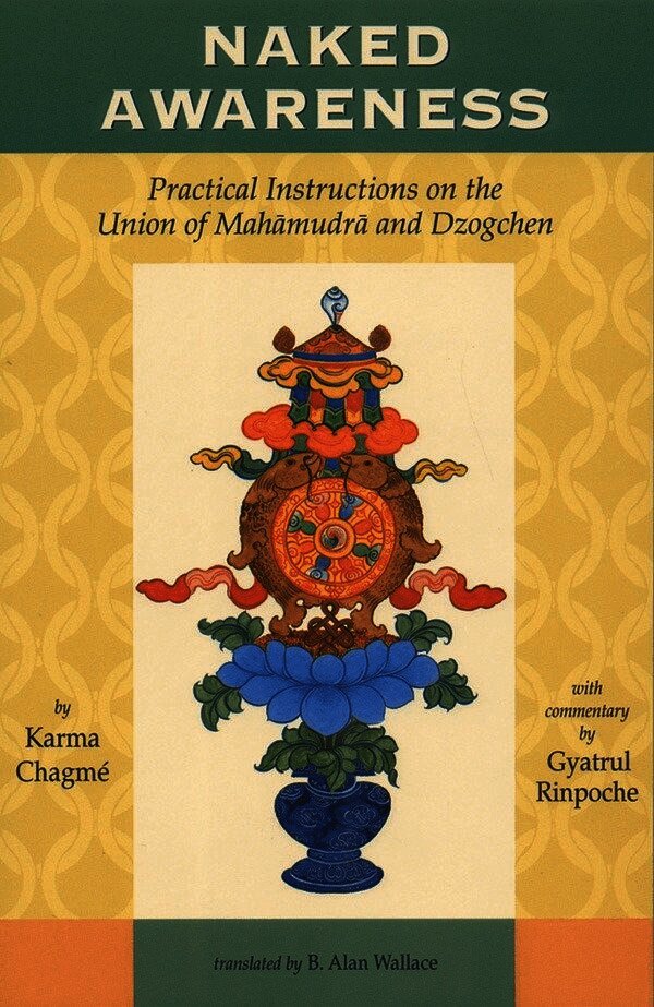 Karma Chagme, B. Alan Wallace, Lindy Steele - Naked Awareness, Häftad
