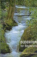 bokomslag Buddhism for Beginners