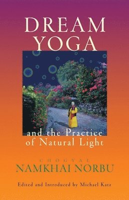 Dream Yoga and the Practice of Natural Light
