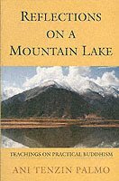 bokomslag Reflections on a Mountain Lake