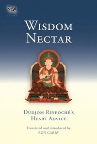 bokomslag Wisdom Nectar
