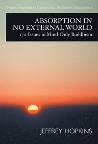 bokomslag Absorption in No External World