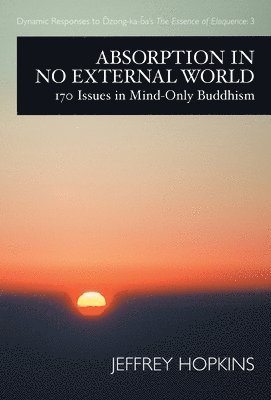 Absorption in No External World 1