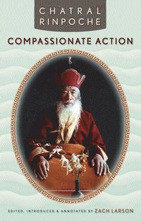 bokomslag Compassionate Action